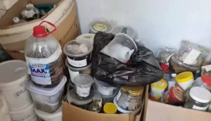 Polícia Civil deflagra fraude de empresa ligadas Ã  SES e encontra laboratório que atende HGP irregular, frascos de urina eram reaproveitados