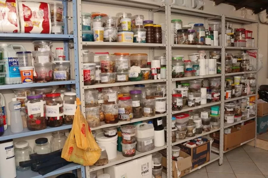 Laboratório Sicar tem contrato suspenso após escÃ¢ndalo com frascos de alimento armazenando material genético