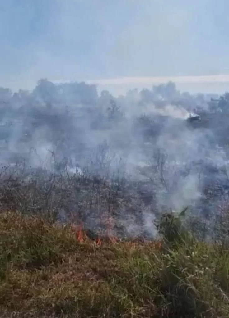 Fiação pega fogo em poste e atinge fazenda em Araguaína e proprietária conta como aconteceu