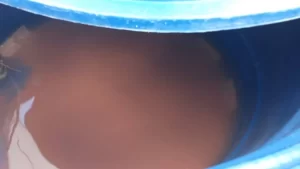 Em Bandeirantes, população se manifesta contra ATS, por falta de água