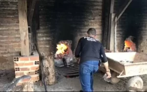 Polícia Civil erradica mais de 200 kg de pasta base de cocaína em Araguatins