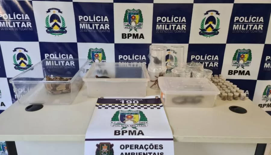 Carga com 40 animais silvestres é interceptada em empresa de transportes em Palmas