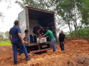 Em operação, MPTO e Procon autua 17 estabelecimentos de Colinas por venda de produtos impróprio para consumo