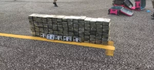 Por ter rota estratégica, Tocantins é o estado com maior apreensão de drogas em operação Narco Brasil