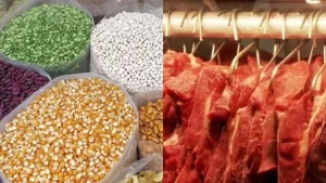 Cultura de grãos e rentabilidade da carne são destaques; saiba qual a expectativa para os próximos meses