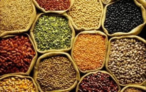 Safras de Grãos: especialista explica cenário que anima mercado e bate recorde