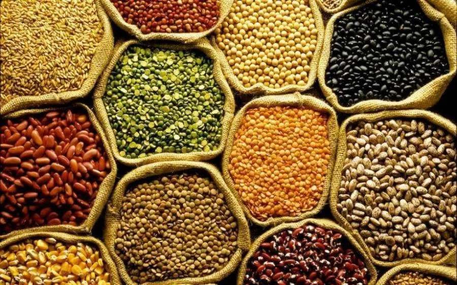 Safras de Grãos: especialista explica cenário que anima mercado e bate recorde