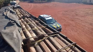Em Gurupi e Luzinópolis, PRF apreende mais de 164mÂ³ de madeira ilegal