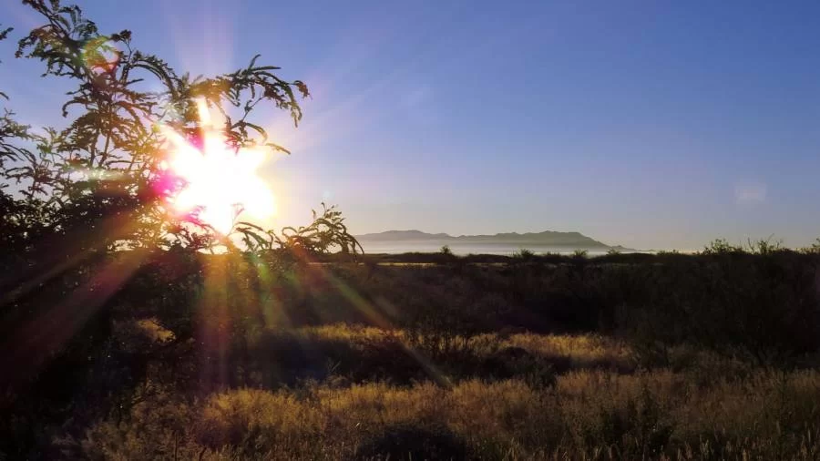 TO tem início de semana e feriado com névoa seca e temperaturas altas; veja a previsão