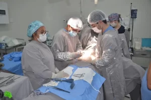 Campanha Setembro Verde movimenta fila do Sistema Nacional de Transplantes