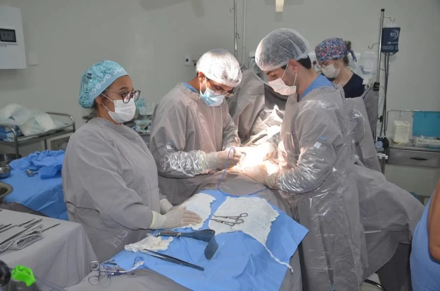 Campanha Setembro Verde movimenta fila do Sistema Nacional de Transplantes