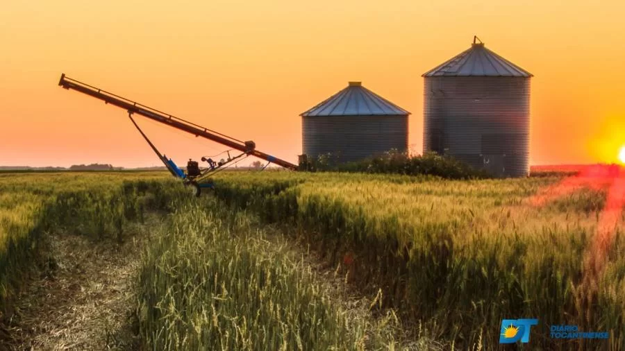 Produção de grãos bate recorde de 271,2 milhões de toneladas
