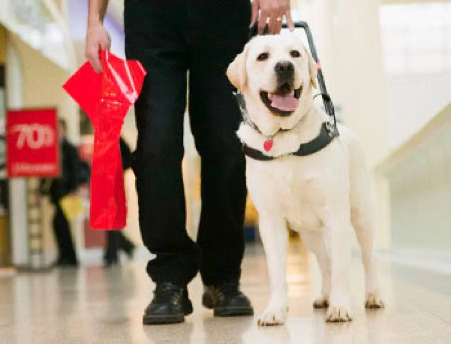 Capim Dourado Shopping agora serÃÂ¡ Pet Friendly