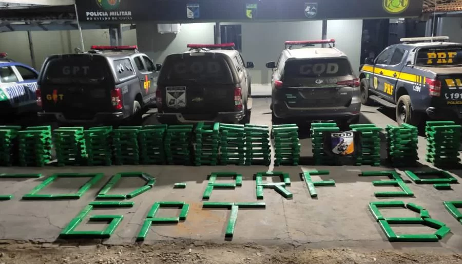 Polícia apreende 800 kg de maconha escondida debaixo de sacos de ração em Talismã