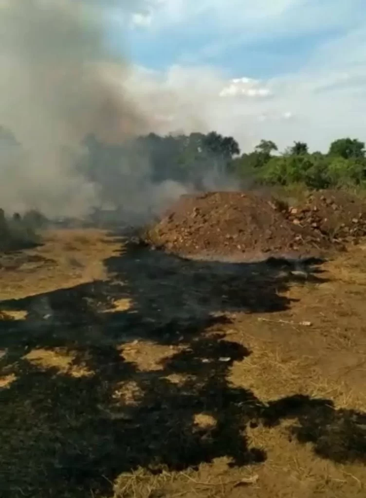 IncÃªndio em vegetação em Novo Olinda chega próximo a residÃªncias; vídeo