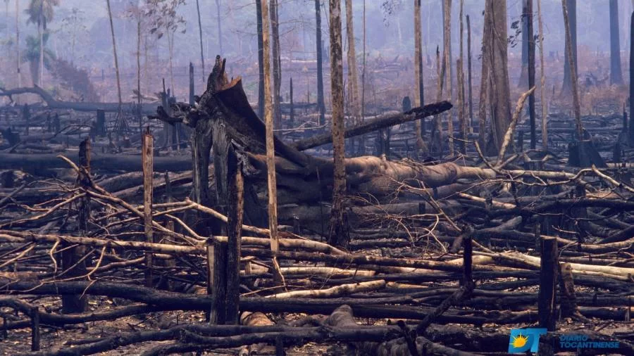 No dia da Amazônia, Globoplay exibe série que retrata a região durante um "inferno vulcÃ¢nico" – "a era dos humanos"