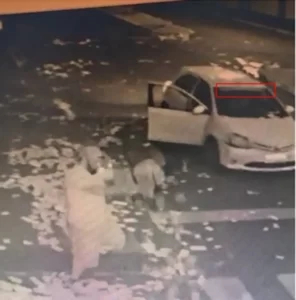 Polícia Federal investiga crime eleitoral e ambiental praticados por candidata a dep Federal em Araguaína; vídeo