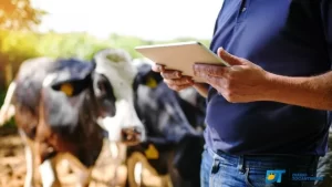 Soberano Agronegócios paralisa investimento no Tocantins por instabilidade política e pede posicionamento de Wanderlei no apoio do 2Â° turno