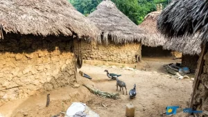 Comunidade indígena recebe ações das áreas de educação, saúde e assistÃªncia, através do programa "Recriar Vidas"