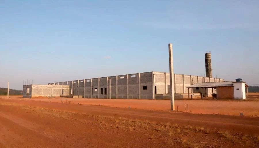Com regularização fundiária, Tocantins fomenta avicultura em Angico para gerar 200 empregos diretos