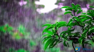 Tocantinenses podem comemorar, a previsão para o fim de semana é de chuvas nas principais cidades do estado