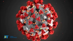 Tocantins registra 12 casos ativos de Covid – 19