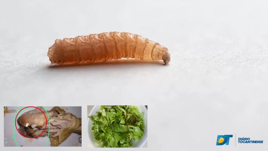 Após relatos de larvas na alimentação do HGP justiça dá prazo de 5 dias para SES apresentar medidas adotadas e penalidades aplicadas Ã  FBK