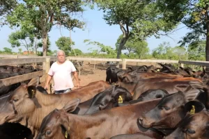 "Carne bovina deve aumentar 10% para o consumidor final", afirma empresÃÂ¡rio