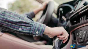 Alerta: 5 golpes mais aplicados no Estado do Tocantins envolvem compra e venda de veículos automotores; confira aqui no Diário Tocantinense