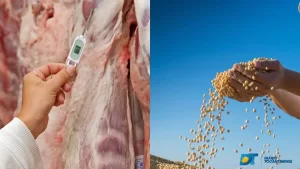 Analista explica cenário das exportações de carne bovina e grãos no estado do Tocantins; confira os dados