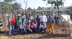 Trabalhadores rurais de Almas buscam qualificaÃÂ§ÃÂ£o no curso de Vaqueiro