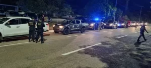 PF desarticula associação criminosa envolvida com o desmatamento e comércio ilegal de madeira na terra indígena Xerente em Tocantínia