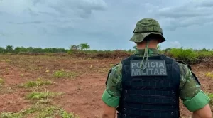 Desmatamento no Tocantins: fazendeiro é multado em mais de R$ 150 mil por desmatar em área de preservação sem licença ambiental