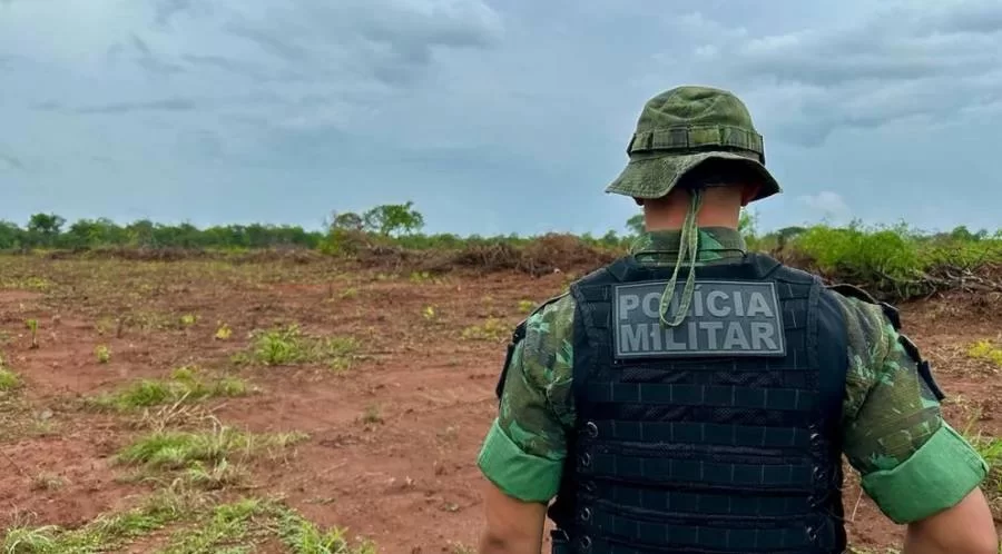 Desmatamento no Tocantins: fazendeiro é multado em mais de R$ 150 mil por desmatar em área de preservação sem licença ambiental
