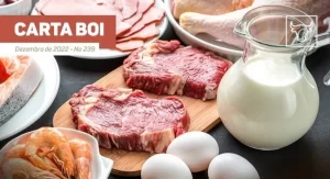 Proteínas alternativas: um termo já ultrapassado? saiba mais