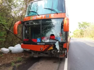 Ãânibus na contramÃÂ£o provoca acidente e deixa vitima fatal