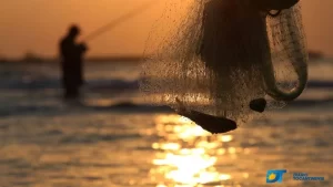 Mais de 1.800 kg são apreendidos ao longo da Piracema; PMTO  afirma que valor em multa ultrapassa R$ 50 mil reais