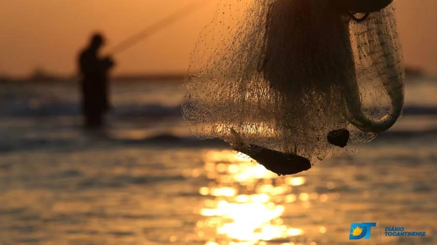 Mais de 1.800 kg são apreendidos ao longo da Piracema; PMTO  afirma que valor em multa ultrapassa R$ 50 mil reais
