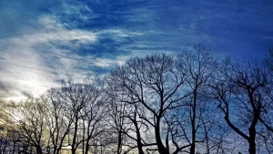 Rumo Ã  Nova Canaã