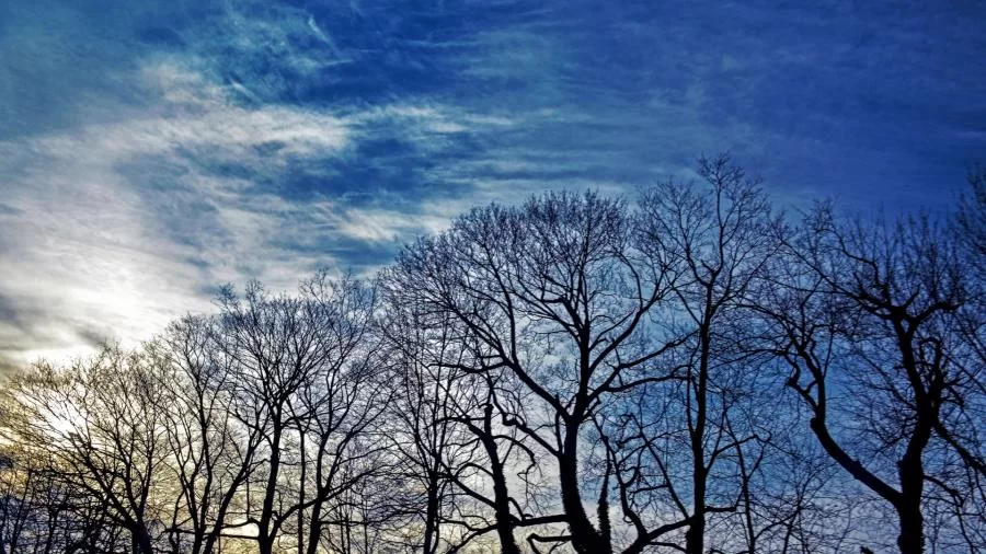 Rumo Ã  Nova Canaã