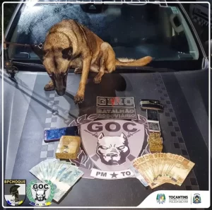 Durante operação "Boas Festas" GOC e GIRO com ajuda de cães farejadores encontram drogas dentro de ônibus linha TO – PA