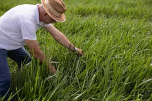 Mais de R$ 9,1 bilhões de recursos do FNO são disponibilizados para a região Norte