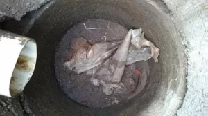 Em 2022, BRK retirou mais de mil toneladas de lixo da rede de esgoto em Palmas, Araguaína e Gurupi