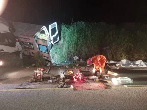 Tocantins em Luto: Acidente com van e caminhão deixa 12 mortos