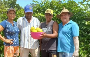 Produtor de Ponte Alta do Bom Jesus comemora colheita de banana e maracujá