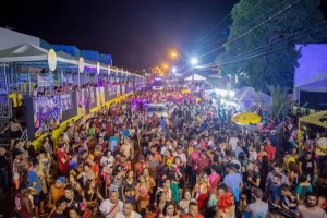 ATM faz pesquisa sobre a realização de carnaval pelas prefeituras do Tocantins