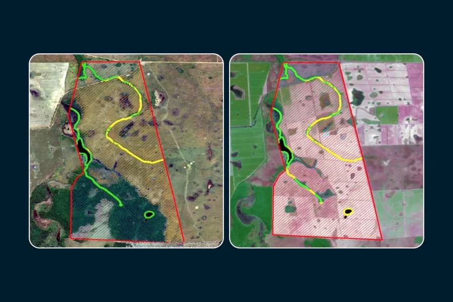 Justiça reconhece fraudes em licenças para desmatamento expedidas pelo Naturatins e condena empresa beneficiada a pagar multa milionária