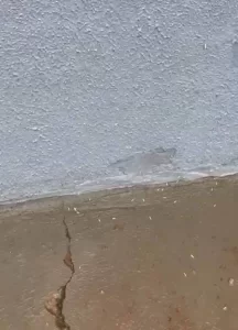 Vice-prefeito de Colinas, Francisco do Cacau grava vídeo denunciando descaso com recolhimento de lixo no município, "Tem recurso para isso, tem empresa contratada"