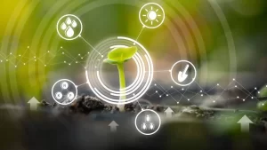 Grão Direto, figura há quatro anos no ranking das 100 melhores Startups, chega ao Tocantins para potencializar comércio de soja, milho e sorgo