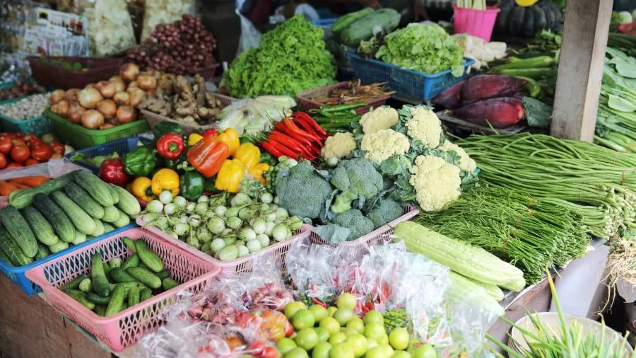 Frutas, verduras e legumes: boletim da Conab mostra hortaliças com preços em queda no mercado atacadista